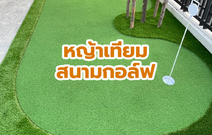 หญ้าเทียมสนามกอล์ฟ ( Golf )