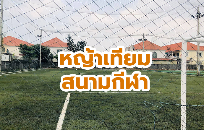 หญ้าเทียมสนามฟุตบอล ( Football )