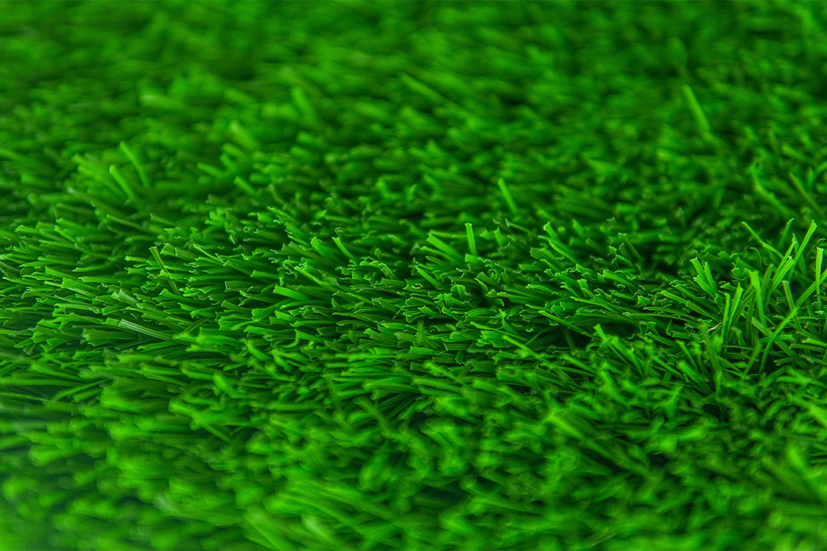 CG-BF500 FIFA